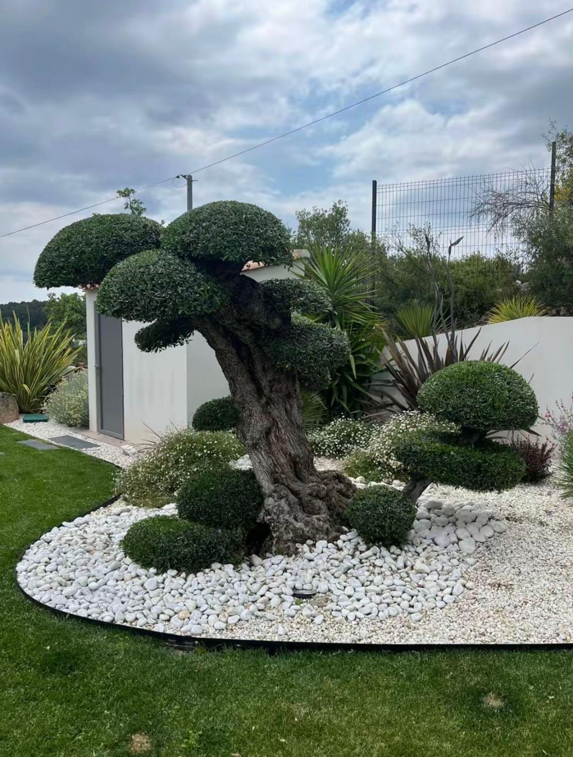 Olivier après intervention